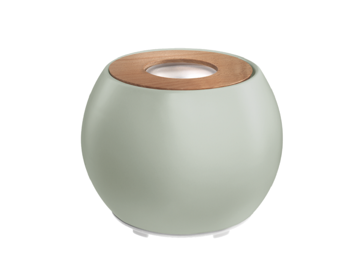 מבשם אויר מעוצב 80007444 | המבורגר ברוס