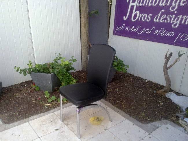 דגם כיסא לשולחן אוכל נוטלי | המבורגר ברוס