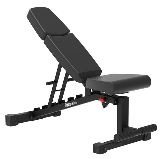 ספסל אימון רב תכליתי דגם 2564 | המבורגר ברוס