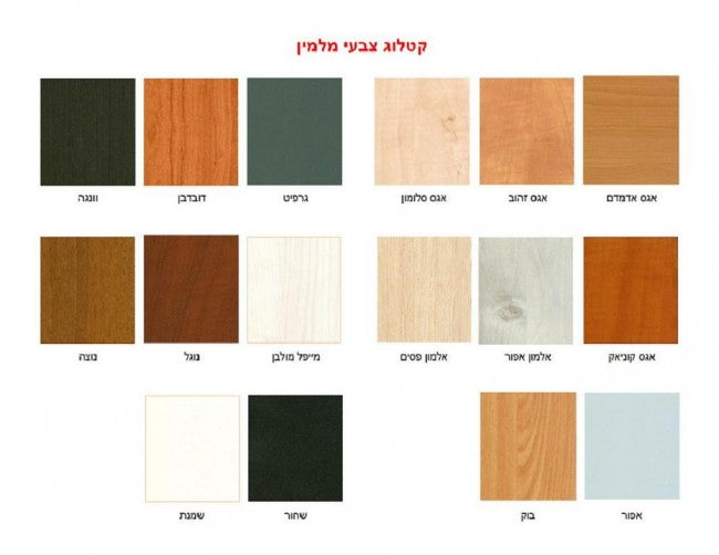 דגם צבעים | המבורגר ברוס