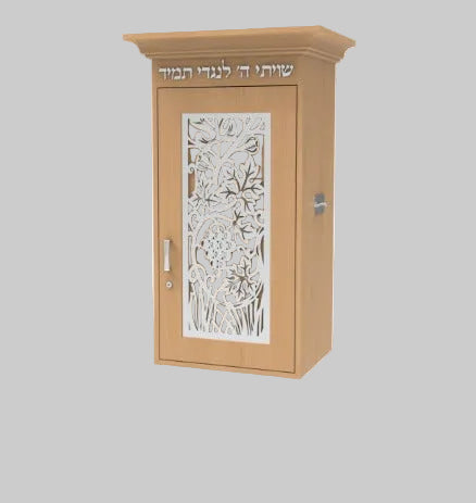 ארונות קודש ניידים