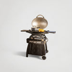 גריל מקצועי מיוחד דגם 9500