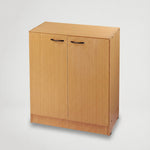 דגם ארון משרדי גדול טיפ