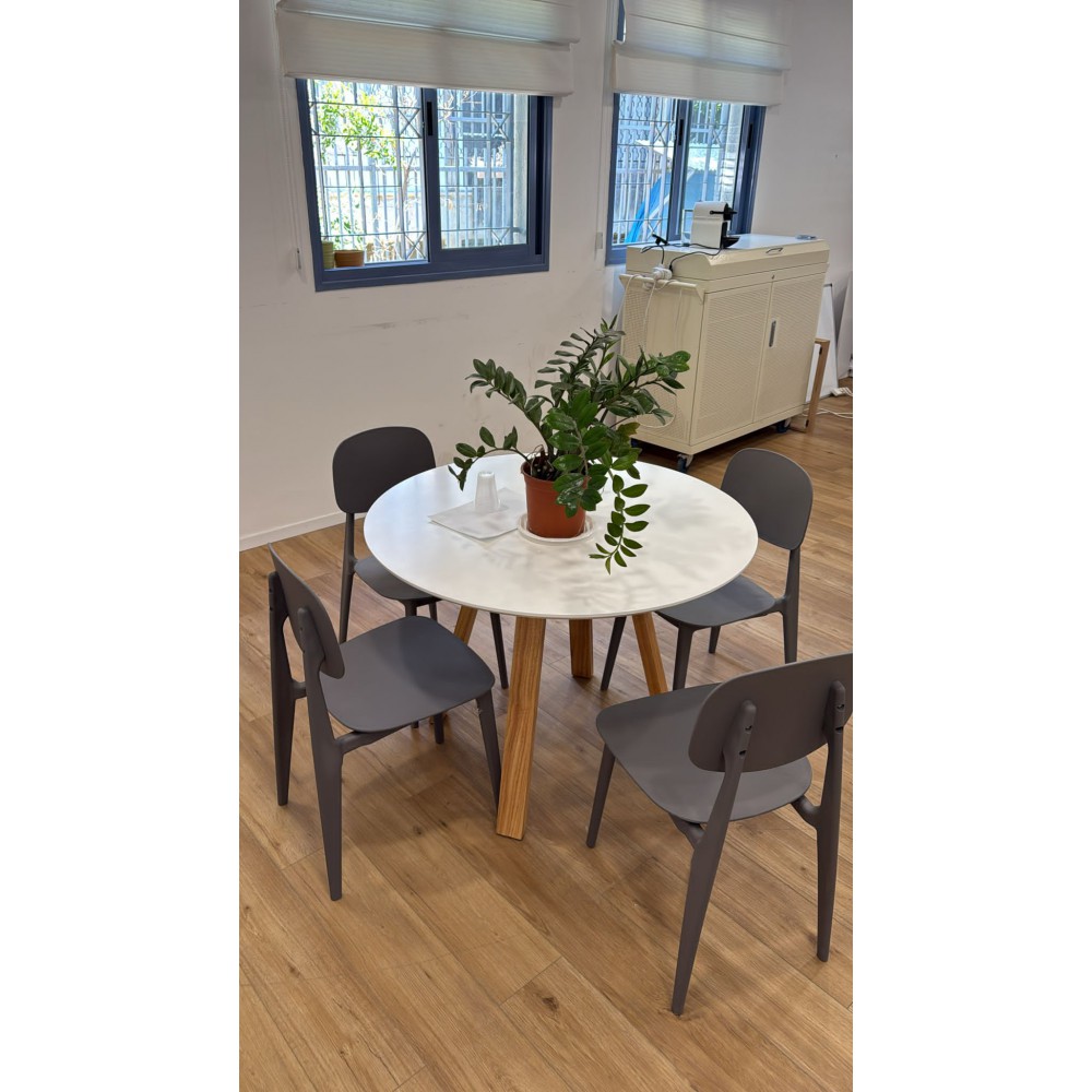 כיסא דגם עמית