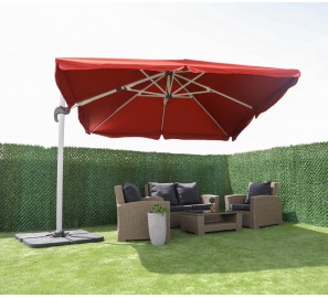 שמשית צד 55420 