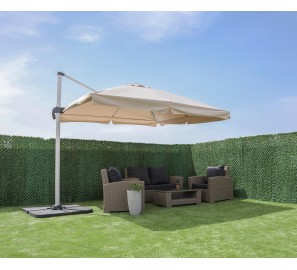 שמשית צד 55420 