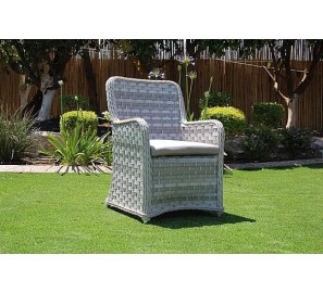 כסא ראטן דגם 6647 כסא ראטן דגם 6647