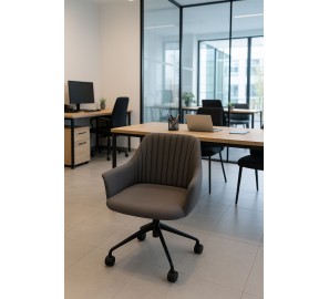 כיסא משרדי תמיר כיסא משרדי תמיר