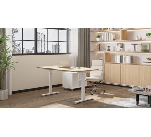 שולחן עבודה חשמלי בהתאמה אישית