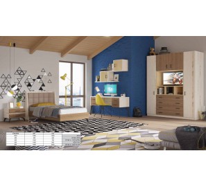 חדר נוער תיאו