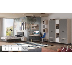 חדר נוער פיטבול