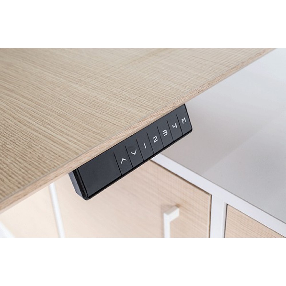 שולחן חשמלי דו מנועי