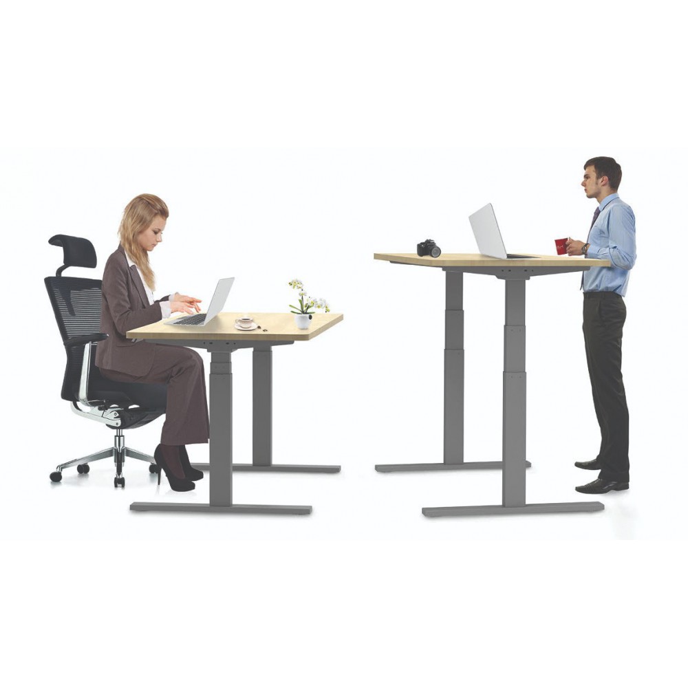 שולחן חשמלי דו מנועי