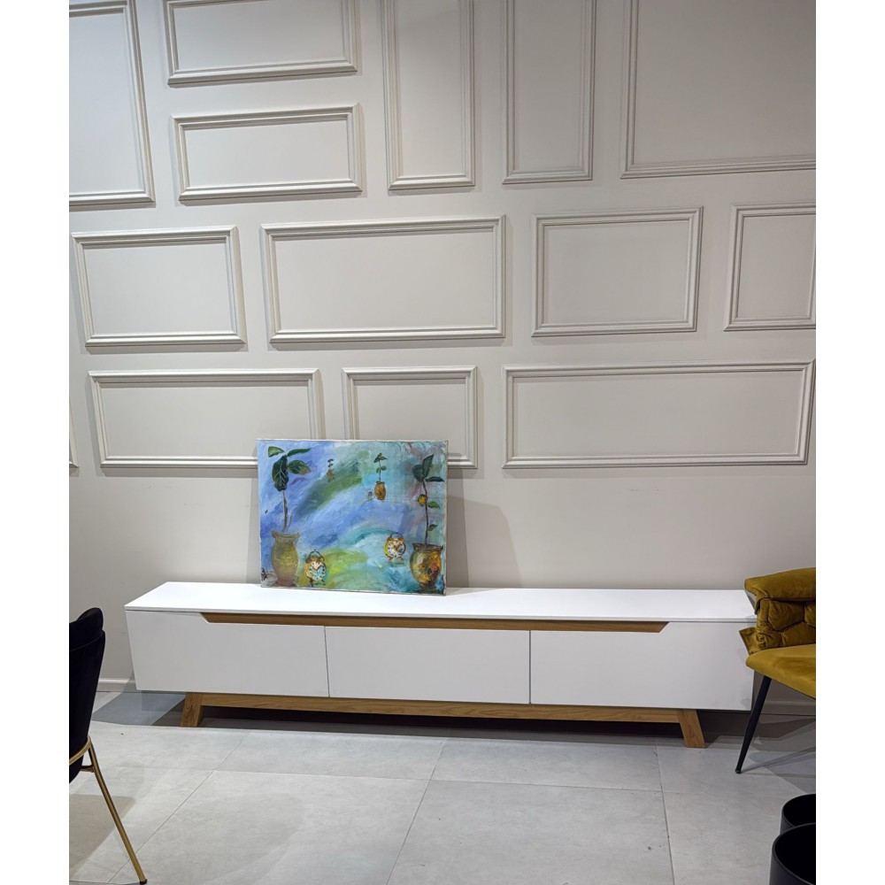 מזנון 2.4 מעוצב מתצוגה