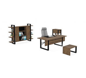 מערכת מנהלים 881