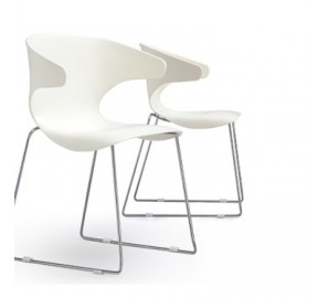 דגם כיסא אורח לחון דגם כיסא אורח לחון