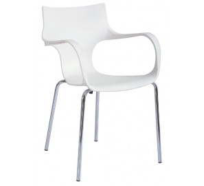 דגם כסא פלסטיק מונה