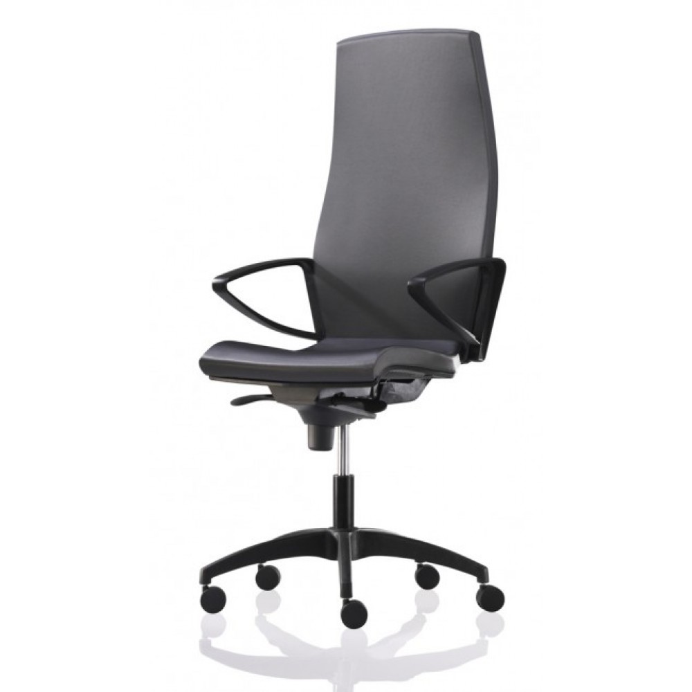 דגם פרו אקטיב מעור אמיתי