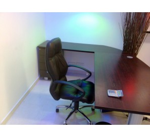 דגם המבורגר ברוס דיזיין