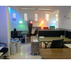 דגם המבורגר ברוס דיזיין