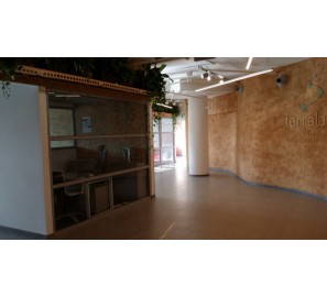 דגם המבורגר ברוס דיזיין