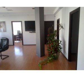 דגם המבורגר ברוס דיזיין