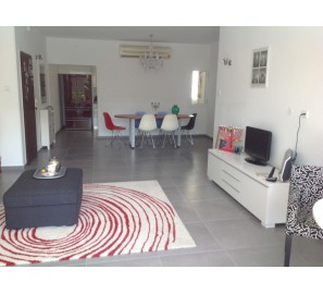 דגם המבורגר ברוס דיזיין