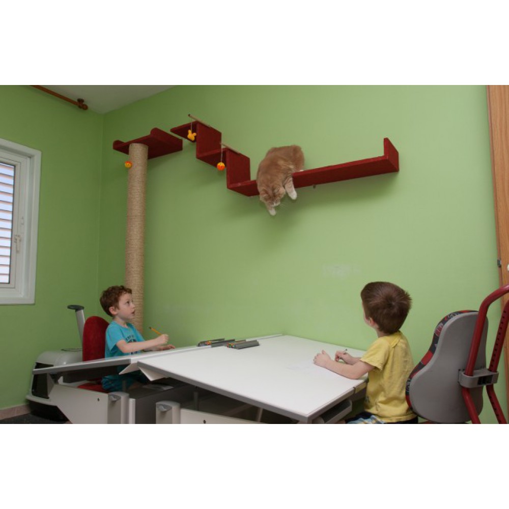 דגם המבורגר ברוס דיזיין דגם המבורגר ברוס דיזיין