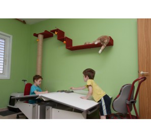 דגם המבורגר ברוס